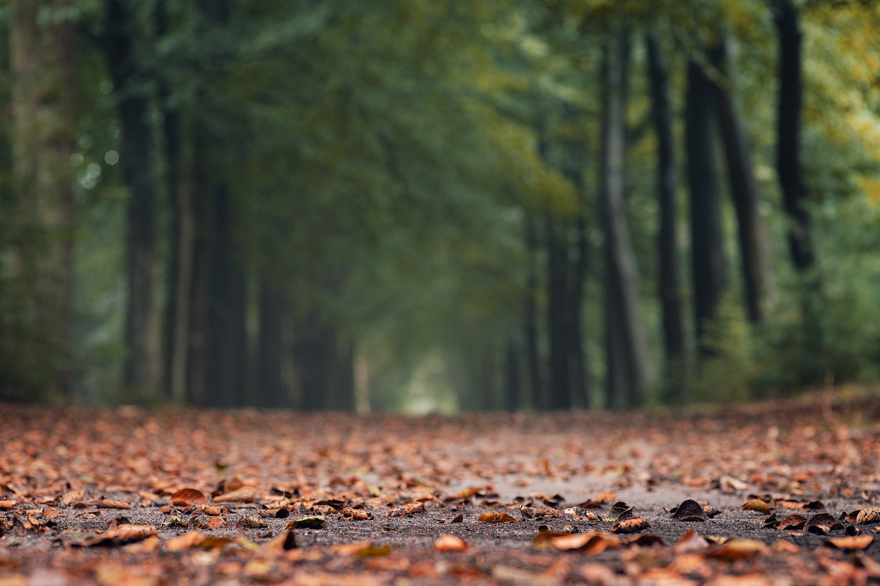 12 dingen die je kunt doen om je herfstdip tegen te gaan